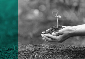 Canada to issue third green bond