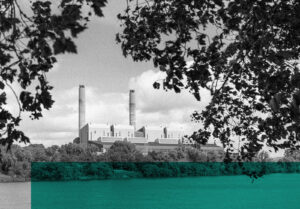 New tool to challenge greenwashing claims goes live as companies weigh strategy
