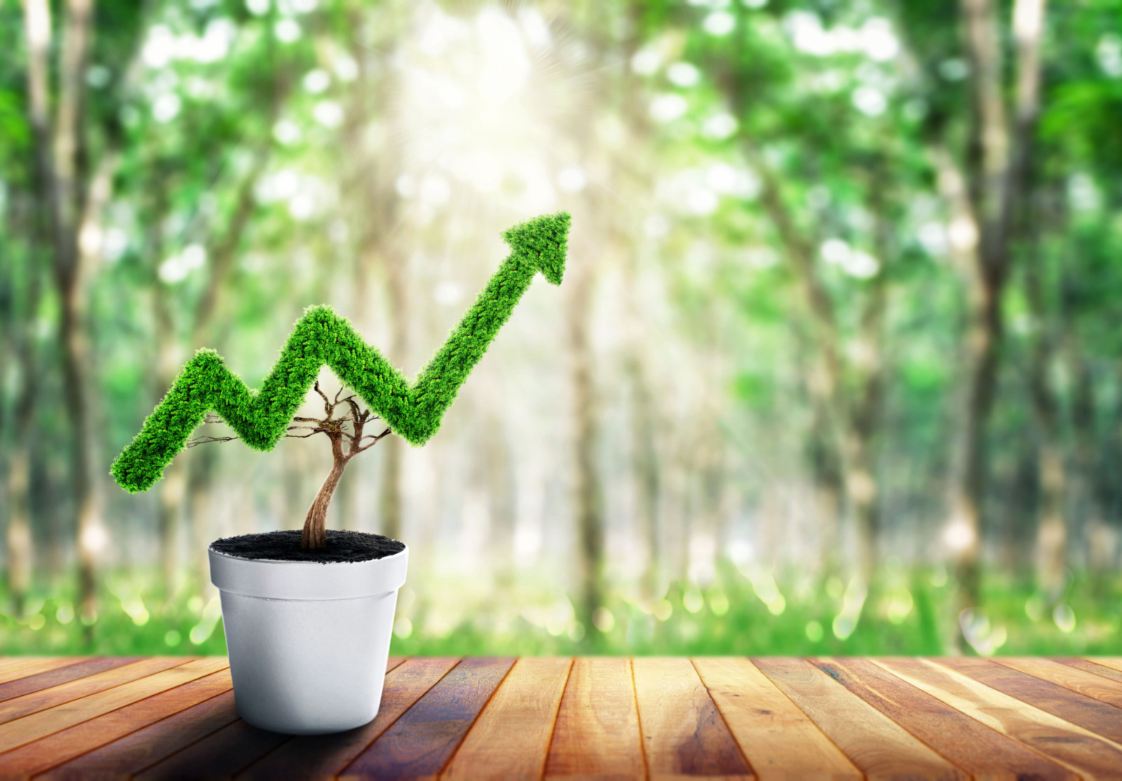 Small plant in pot shaped like growing graph.